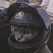 世rui睿的个人资料头像