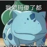 北极熊先生头像