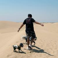 小星星小星星djjdj头像