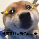 shabbyaaa的个人资料头像