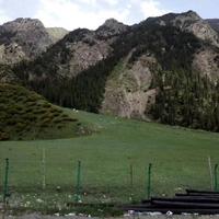 用户969983537995头像