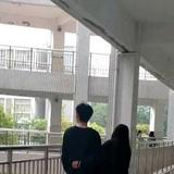 飞头像