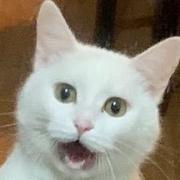 Bunny375的个人资料头像