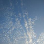 tb299的个人资料头像