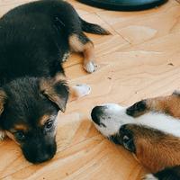 坦荡的露珠1Id头像