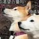 xiaoxiao曉智 · 奕炫车主·车龄2年头像