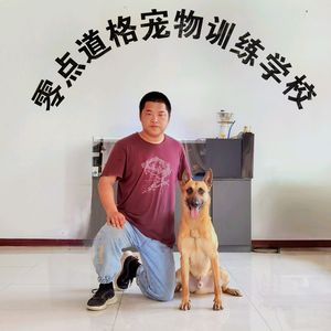 北京零点道格训犬头像