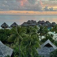 给我来两根头像