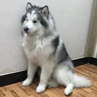 用户579629890444头像