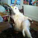 blue爱学习54753的个人资料头像