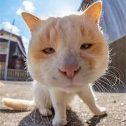 Sun530的个人资料头像