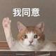 清新的炸鸡 · 福克斯车主·车龄6年头像