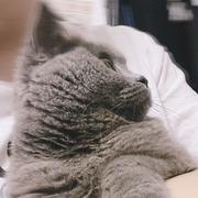 DTing的个人资料头像
