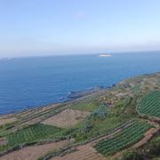 沉迷于CSS的个人资料头像