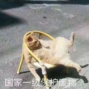 C星埋尔多头像