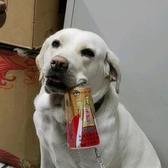 大地恋歌头像