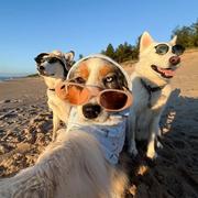 知秋意的个人资料头像