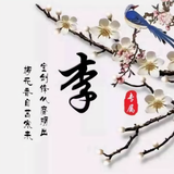 浩龙777头像