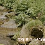 三五七言697头像