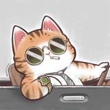 王情吕貌头像