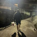 东莞小韦二手车头像