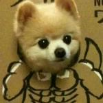 酷酷哒2的个人资料头像