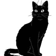 Oracle752的个人资料头像