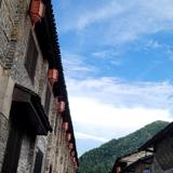 波比玩车头像