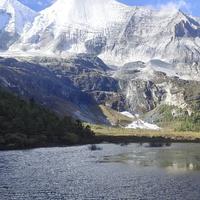 蓝色海洋PLUS头像