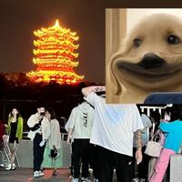 不跷二郎腿阿头像