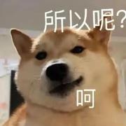 汪汪队上海分汪的个人资料头像