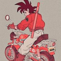 赛米2491头像
