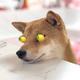 中华田园犬826 · 哈弗二代大狗PHEV车主·车龄1年头像