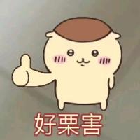 顽强豆花x2N头像