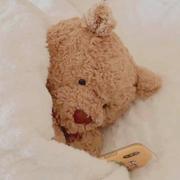 Saxion的个人资料头像