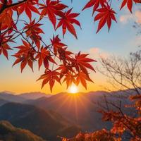 用户1656958673252头像