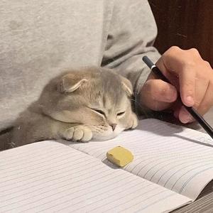 这以后头像