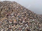 adao3056的个人资料头像