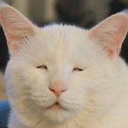 undefined的个人资料头像