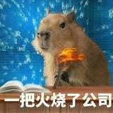 春风十里5361头像