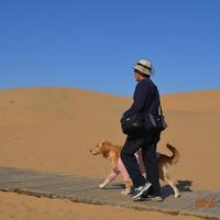 牛得草的歌头像