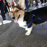 小幸运9361639539662头像