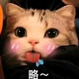 茅台烧响锣头像
