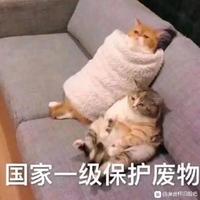 l阿齐l头像