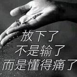 不会凋落的叶子363头像