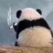Lamouryz的个人资料头像