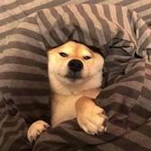 早起的凯迪拉克头像