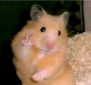 Slow_Learner的个人资料头像