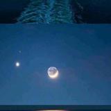 浪浪余心头像