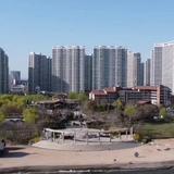 智能稚造头像